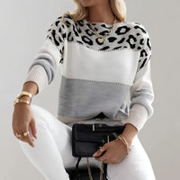 Viola | Women's Color Block Leopard Print Crew Neck Sweater