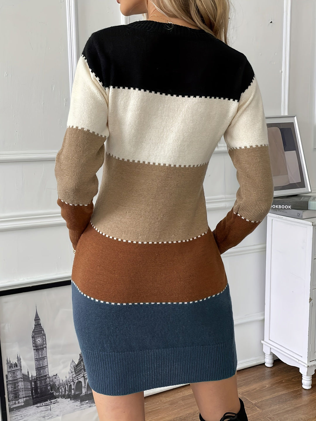 Rosamund colorblock sweater dress, back view