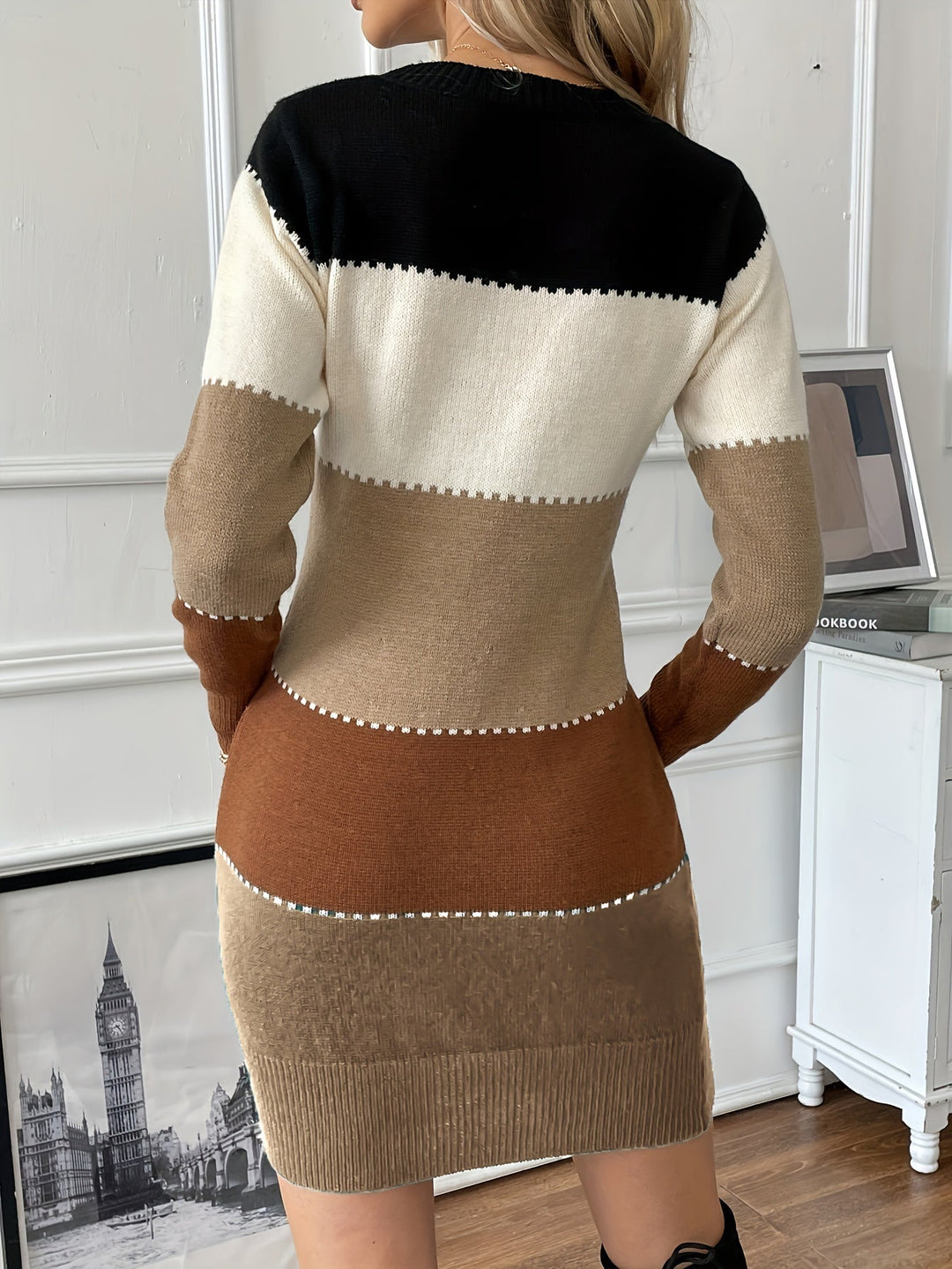 Rosamund colorblock sweater dress, back view