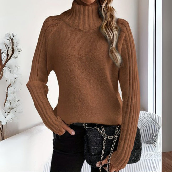 Rosalie brown turtleneck ribbed sleeve sweater, front view
